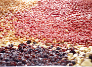 INGREDIENTS, PROCESSING AND CONTRACT PACKING